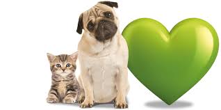 Pet Insurance | Get a Quote | LV= via Relatably.com