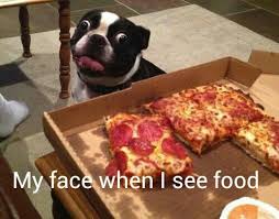 dog, face, food, funny, love, pizza, quote, quotes - image ... via Relatably.com