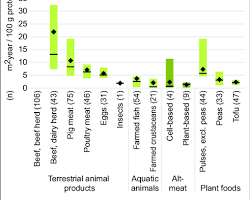variety of plant-based alternatives to meat, dairy, and other animal products