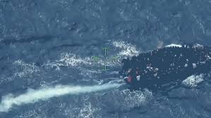 Overcrowded migrant vessel with 240 people on board intercepted near Turks and Caicos