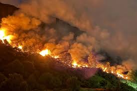 Edinburgh Hit by Fire as Scotland Continues to Battle Wildfires