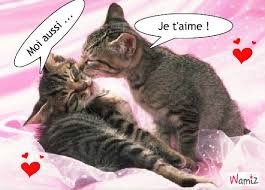 R&eacute;sultat de recherche d'images pour 