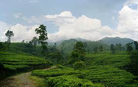 Hasil gambar untuk pecinta alam indonesia