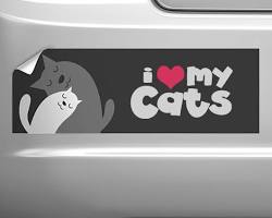 Image of Laminator for Bumper Stickers