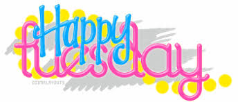 SHOPTA.VN: Chuyên Cho Thuê Lều Bạt - 1