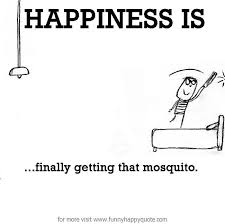 Happiness is, finally getting that mosquito. - Funny Happy Quote via Relatably.com