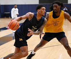 Yaxel Lendeborg: Michigan Basketball's 'Splashiest' Newcomer
