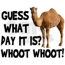 Image result for MICKEY AND MINNIE hump day quotes and gifs good morning