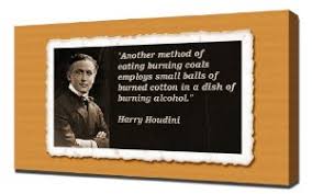 Amazon.com - Harry Houdini Quotes 4 - Canvas Art Print - via Relatably.com