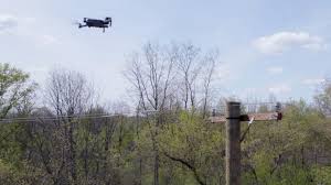 WZZM13.com - News update