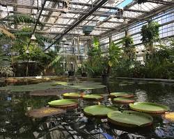 Image of Ghent University Botanical Garden Ghent Belgium