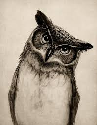 Résultat de recherche d'images pour "owl ink drawing"
