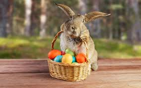 Résultat de recherche d'images pour "easter bunny"