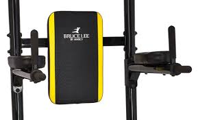 Image result for bruce lee ced