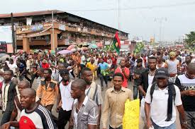 Image result for nnamdi kalu news update