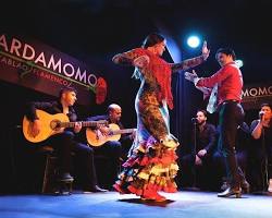 Tablao flamenco, Madrid