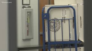 Georgia Voters to Decide on Public Service Commission in 2025