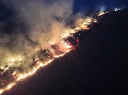 Vehicle linked to major grassland fire in Mongolia nature reserve