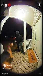 Security Dog Meme Jump Through Window | TikTok