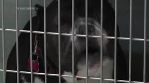 Moody Bible Institute Lawsuit Details