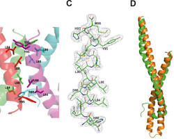 Image of FadA protein structure