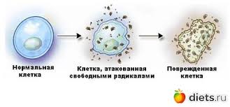 фото свободных радикалов 2