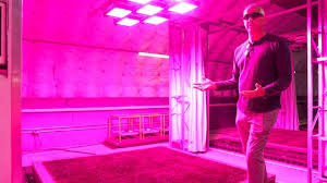 University of Tennessee's Cutting-Edge Turf Research for the 2026 FIFA World Cup