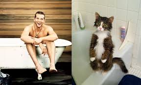 Image result for men and cats tumblr