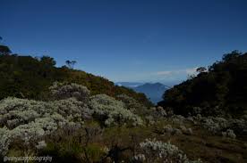 Hasil gambar untuk pecinta alam indonesia