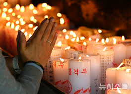 뉴시스 - News update