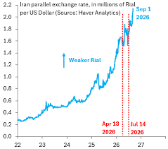 The Meltdown of the Iranian Rial