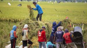 Swasembada Pangan dan Pupuk Terjangkau Jadi Prioritas Pemerintah