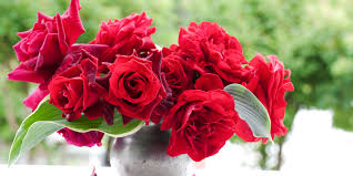 Image result for image of moving broken hearts and roses