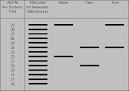 Gelelektrophorese dna