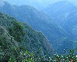 Image of Green Valley View Kodaikanal