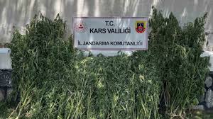 Yeni Şafak - News update