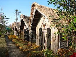 Image result for nagaland images