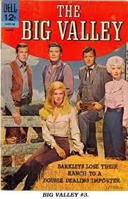 Image result for big valley