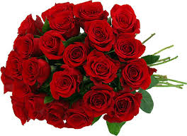 Image result for red roses bouquet images