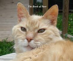 The Book of Purr Von Allison Kelly: Pets | Blurb-Bücher Deutschland - 2086987-f4c840db45ce494c6447a9b9ee050fb5-fp-874a764f82d81ddc1170bcb461cc5c83