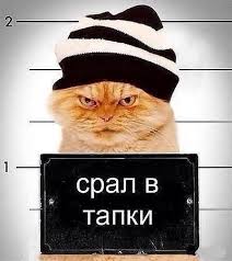 От бюджета до Черчилля: что читают народные депутаты - Цензор.НЕТ 9077
