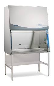 Labconco Logic + 302681101 Class II Type A2 6ft Biosafety ...