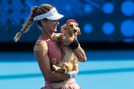 WTA Tennis - News update