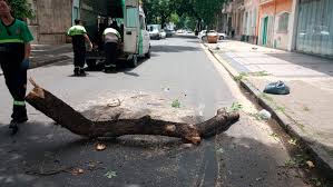 ¡Alerta en Rosario! Domingo con Tormentas Fuertes y Descenso Térmico