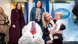 ICE Detains Relative of White House Spokeswoman: A DACA Recipient’s Case