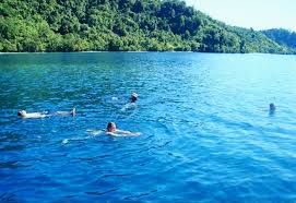 Image result for TAMAN NASIONAL CENDRAWASIH