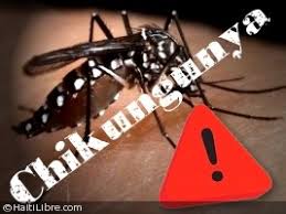 Image result for chikungunya patients