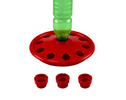 Gambar disc drinker for chickens