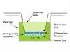 QCM Chemotaxis Cell Migration Assay, 24-well (8. - EMD Millipore)