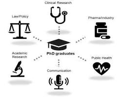 Image of Academia career option after Ph.D